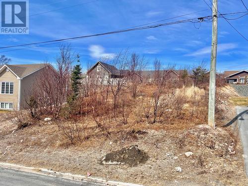 25 Bare Mountain Road, Clarenville, NL 