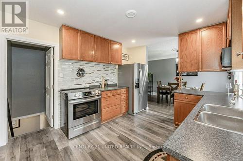 28 Masterson Drive, St. Catharines, ON - Indoor Photo Showing Kitchen With Double Sink