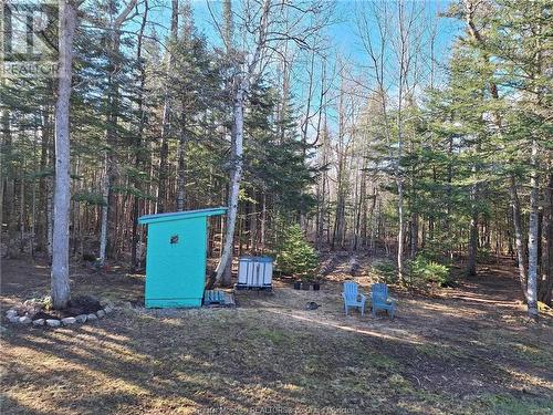 191 Meadow Rd, Elgin, NB - Outdoor With View