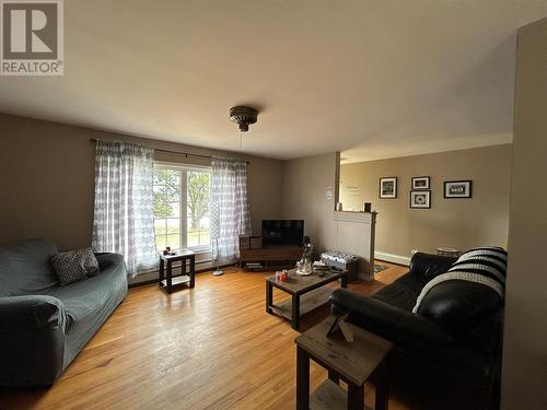 2 Park Plaza Other, Botwood, NL - Indoor Photo Showing Living Room