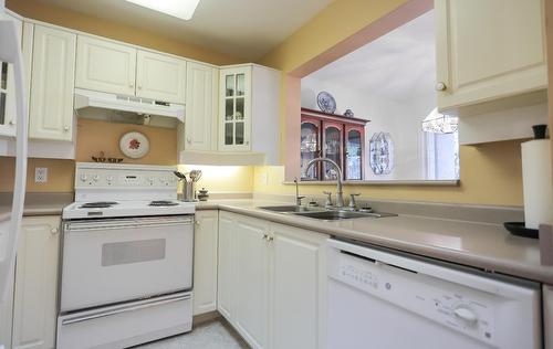 15 - 38 High Street, Nelson, BC - Indoor Photo Showing Kitchen With Double Sink