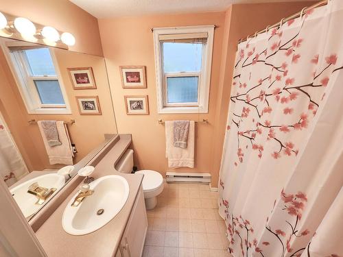 15 - 38 High Street, Nelson, BC - Indoor Photo Showing Bathroom