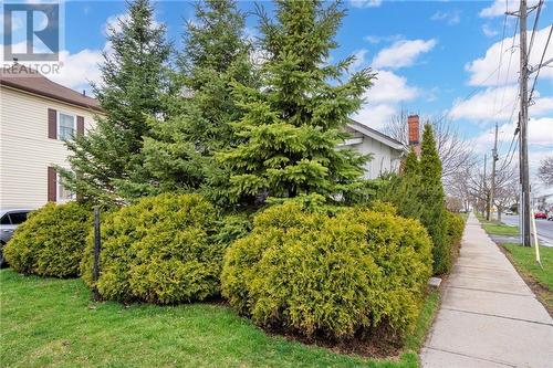 Hedges providing privacy on deck! - 325 Eleventh Street E, Cornwall, ON - Outdoor