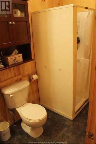 60 Kent Lane, Canaan Forks, NB - Indoor Photo Showing Bathroom