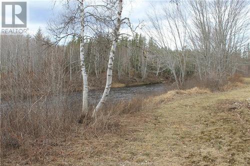 60 Kent Lane, Canaan Forks, NB - Outdoor With View