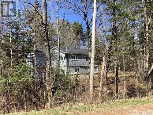 148 Menzie Settlement Road, Central Greenwich, NB - Outdoor With View