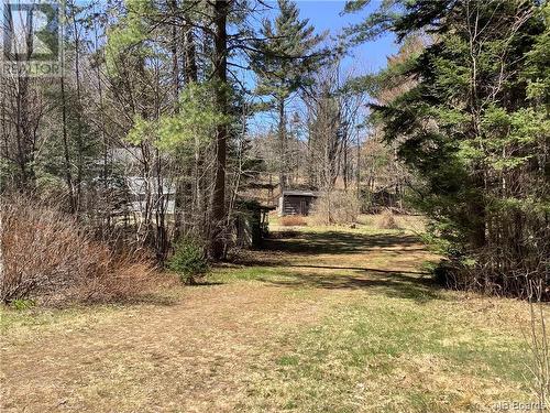 148 Menzie Settlement Road, Central Greenwich, NB - Outdoor With View