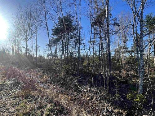 Lot 2 North River Road, Casey Corner, NS 