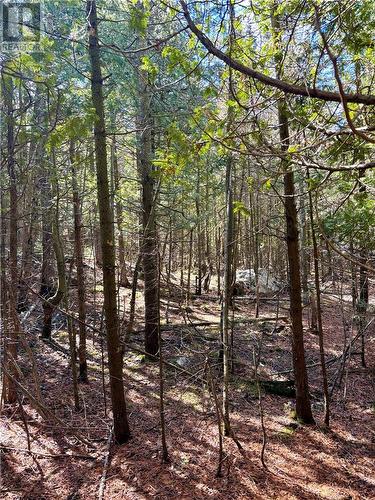 Lot 12 Lake Huron Drive, Spring Bay, Manitoulin Island, ON 