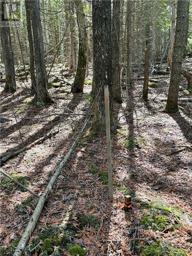 Lot 12 Lake Huron Drive, Spring Bay, Manitoulin Island, ON 