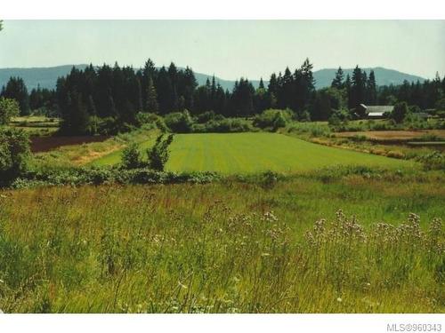 3358 Boyles Rd, Cobble Hill, BC - Outdoor With View