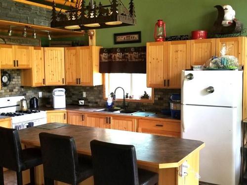 1625 Acorn Road, Seymour Arm, BC - Indoor Photo Showing Kitchen