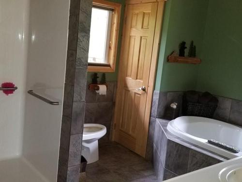 1625 Acorn Road, Seymour Arm, BC - Indoor Photo Showing Bathroom