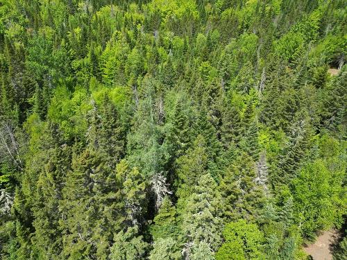 Terre/Terrain - Ch. Des Hauteurs, Sainte-Lucie-Des-Laurentides, QC 