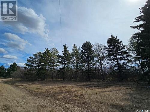 Klein Acreage, Saskatchewan Landing Rm No.167, SK - Outdoor With View