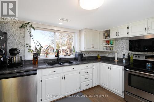 585 Westplain Rd, Greater Napanee, ON - Indoor Photo Showing Kitchen With Double Sink