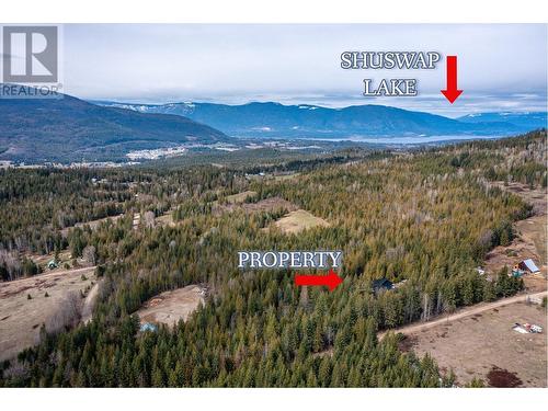 40 Lidstone Road, Salmon Arm, BC - Outdoor With View