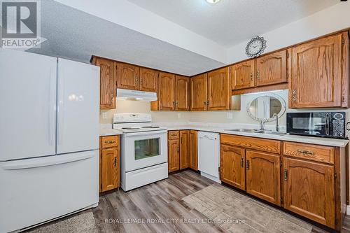 187 Municipal St, Guelph, ON - Indoor Photo Showing Kitchen With Double Sink