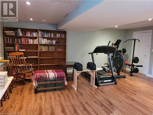 163 Raglan Street, Eugenia, ON - Indoor Photo Showing Gym Room
