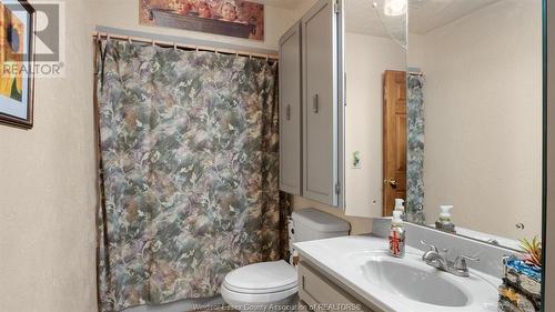6563 Concession 6 North, Amherstburg, ON - Indoor Photo Showing Bathroom