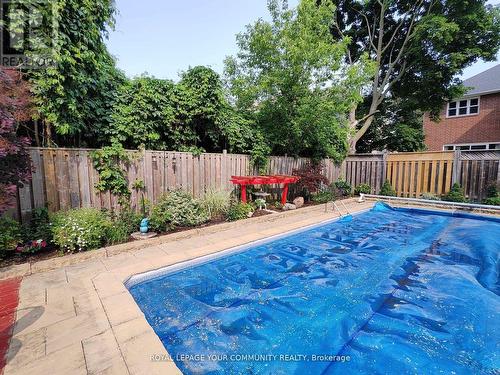 253 Carlton Rd, Markham, ON - Outdoor With In Ground Pool With Backyard