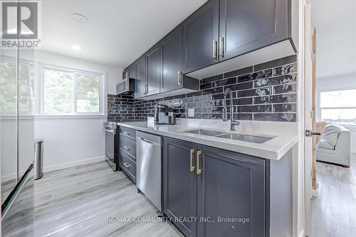 5904 Highway 35, Kawartha Lakes, ON - Indoor Photo Showing Kitchen With Double Sink