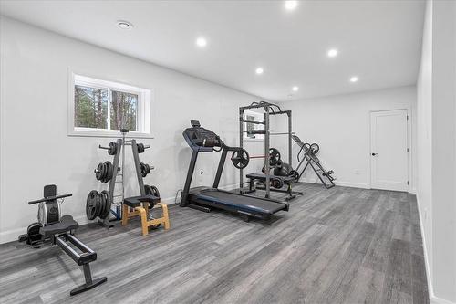 12407 County Road 503, Tory Hill, ON - Indoor Photo Showing Gym Room