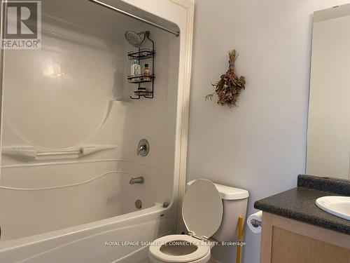 175 Winterberry Boulevard, Thorold, ON - Indoor Photo Showing Bathroom