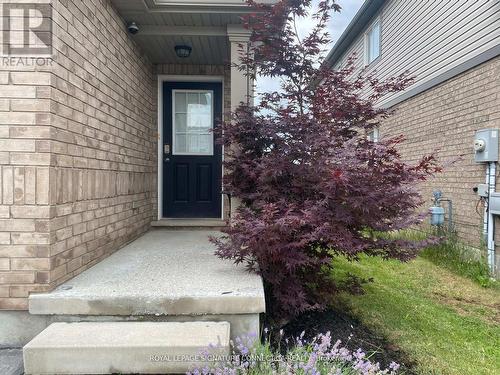 175 Winterberry Blvd, Thorold, ON - Outdoor