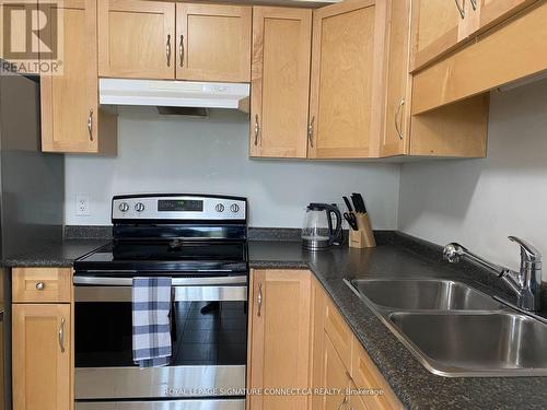 175 Winterberry Blvd, Thorold, ON - Indoor Photo Showing Kitchen With Double Sink