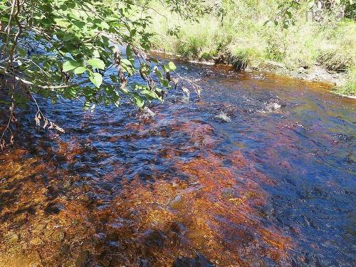 62 Acres West Side Road, West Side Country Harbour, NS 