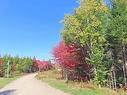 62 Acres West Side Road, West Side Country Harbour, NS 