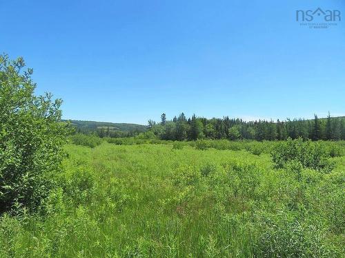 62 Acres West Side Road, West Side Country Harbour, NS 