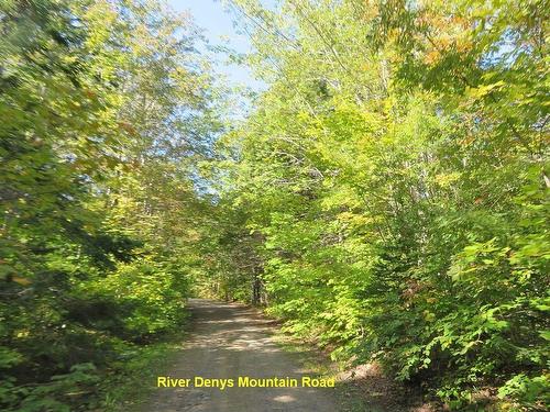 310 Acres River Denys Mountain Road, Milford, NS 
