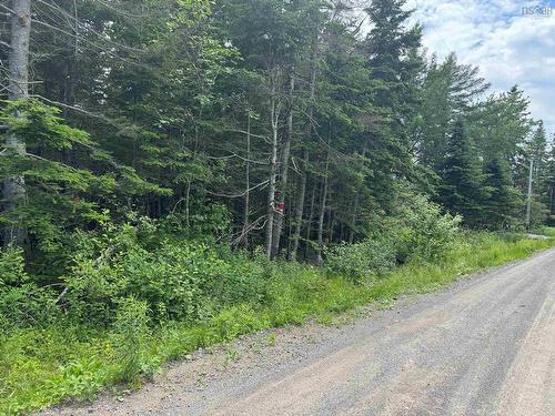 Lot 1 241 Walkerville Road, Walkerville, NS 