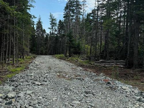 Lot 1 241 Walkerville Road, Walkerville, NS 