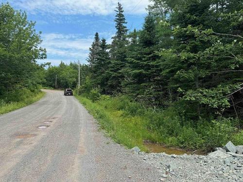 Lot 1 241 Walkerville Road, Walkerville, NS 