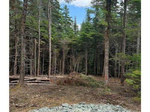 Lot 1 241 Walkerville Road, Walkerville, NS 