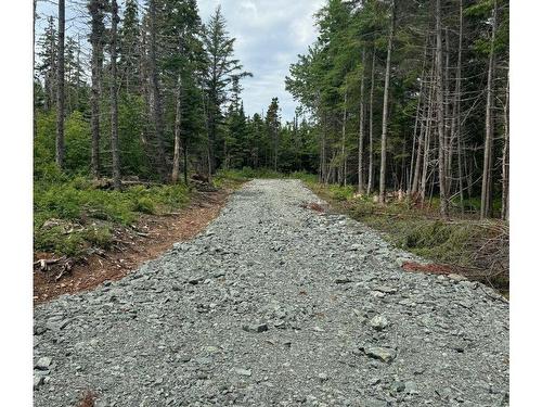 Lot 1 241 Walkerville Road, Walkerville, NS 