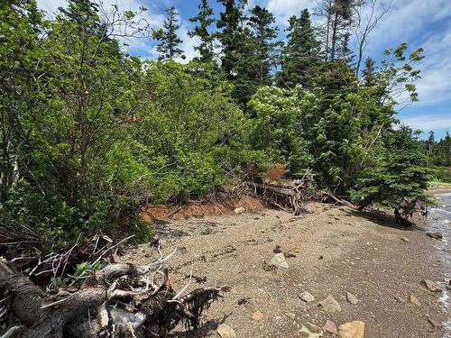 Lot 1 241 Walkerville Road, Walkerville, NS 