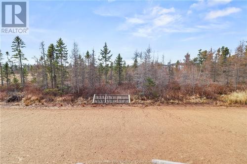 257 Falcon, Moncton, NB - Outdoor With View