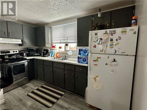 275 Whittaker Street, Sudbury, ON - Indoor Photo Showing Kitchen With Double Sink