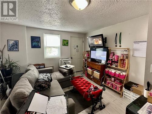 275 Whittaker Street, Sudbury, ON - Indoor Photo Showing Living Room