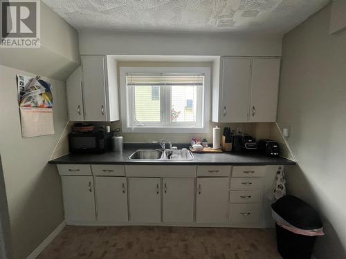 33 Junction Road, Grand Falls-Windsor, NL - Indoor Photo Showing Kitchen With Double Sink