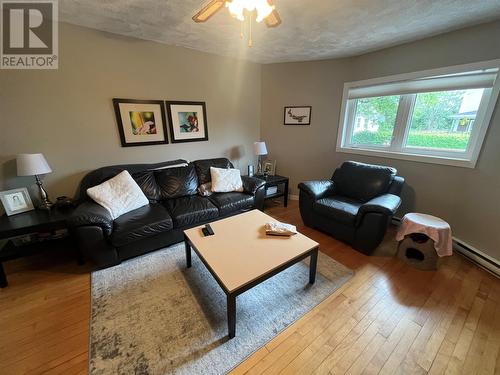 33 Junction Road, Grand Falls-Windsor, NL - Indoor Photo Showing Living Room