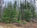 Lot - 403 Canning Road, Dunchurch, ON 