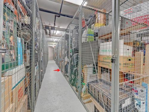 Storage - 706-8050 Boul. St-Laurent, Brossard, QC - Indoor With Storage