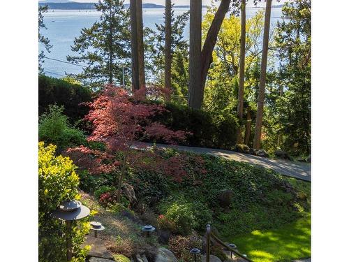 2324 Tryon Rd, North Saanich, BC - Outdoor With View