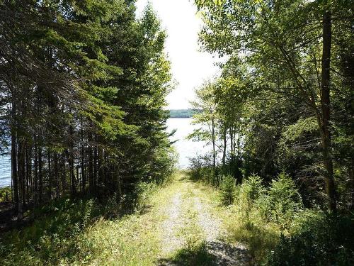 Lot 20 Golden Shore Lane, West Bay Marshes, NS 