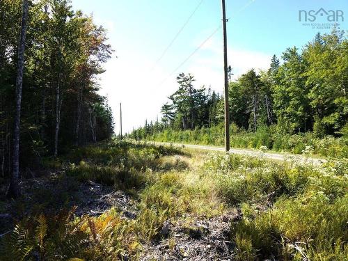 Lot 20 Golden Shore Lane, West Bay Marshes, NS 